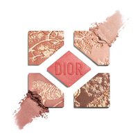DIORSHOW 5 COULEURS EDICIÓN LIMITADA DIORSHOW 5 COULEURS EDICIÓN LIMITADA 1